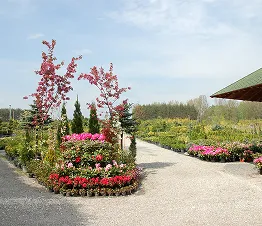 collezione unica di piante ornamentali rare